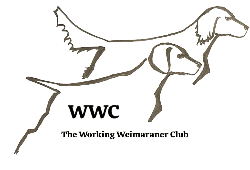 The Working Weimaraner Club